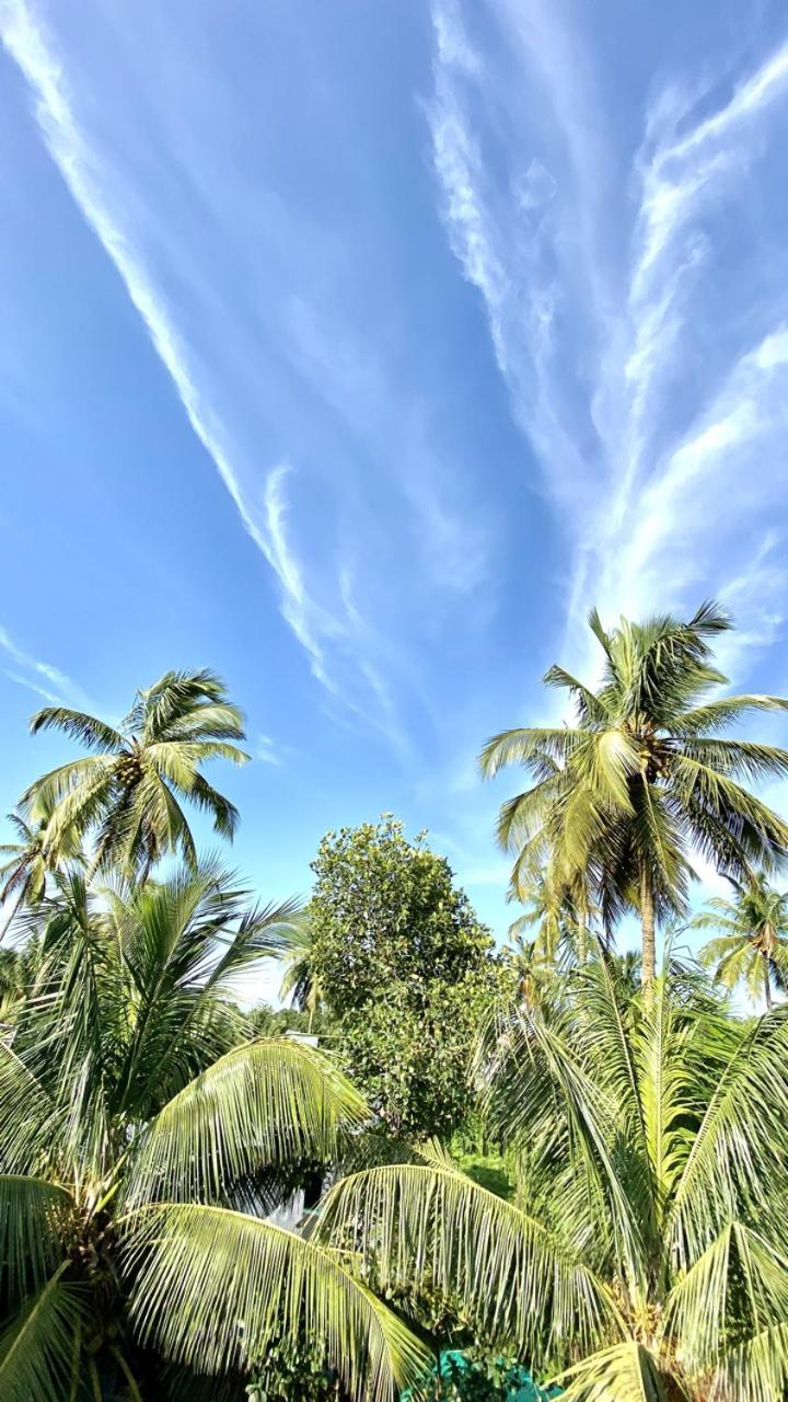 Bsg Stay - Turtle Beach Morjim Goa Extérieur photo